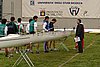282_8231.jpg