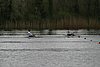 288_8820.jpg