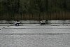 288_8822.jpg