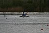 288_8831.jpg