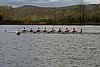 293_9305.jpg