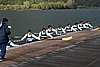 293_9309.jpg