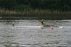 310_1053.jpg