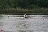 310_1056.jpg