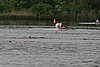 310_1061.jpg