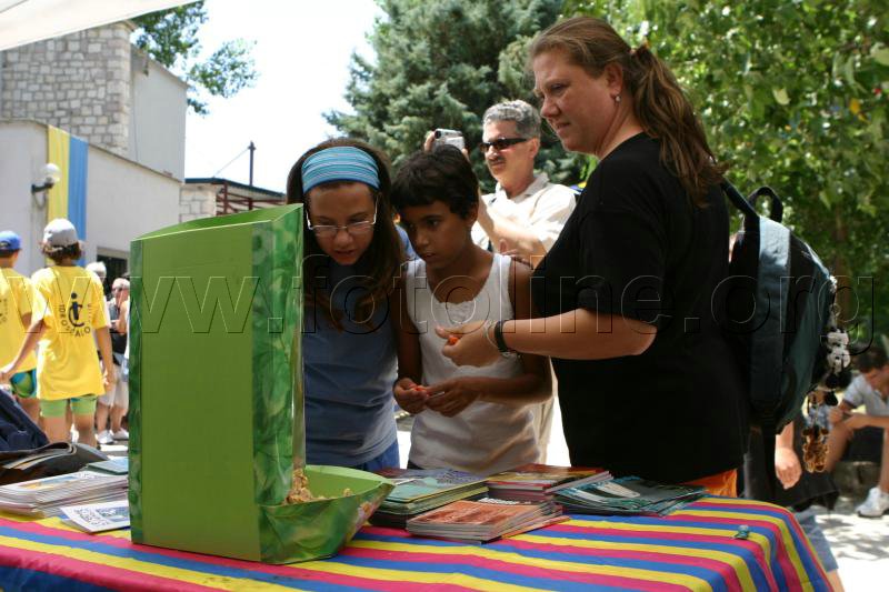347_4772.jpg