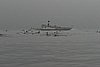 393_9392.jpg