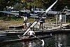 398_9817.jpg