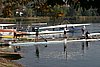 398_9821.jpg