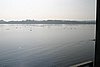 398_9825.jpg