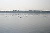 398_9826.jpg