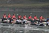 423_2393.jpg