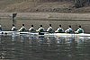 450_5050.jpg