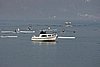 100_3497.jpg