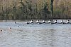 100_4117.jpg