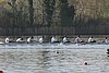 100_4119.jpg