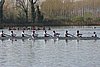 100_4127.jpg