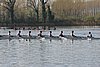 100_4128.jpg