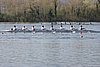 100_4132.jpg