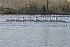100_4133.jpg
