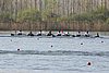 100_4135.jpg