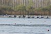 100_4136.jpg