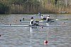 100_4156.jpg