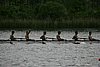 100_7534.jpg