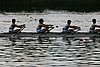 757_7580.jpg