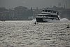 101_0810.jpg