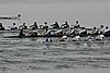 101_1826.jpg