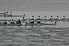 101_1828.jpg