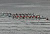 101_1836.jpg