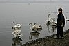 101_6401.jpg