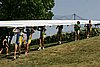 101_9010.jpg