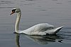 101_9289.jpg