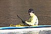IMG_5250.jpg