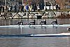 IMG_5257.jpg