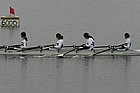 LG6M3702.jpg