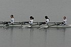 LG6M3707.jpg