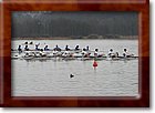 IMG_0328.jpg