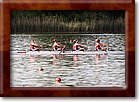IMG_2453.jpg
