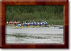 IMG_7928.jpg