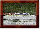 IMG_7929.jpg