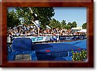 IMG_5206.jpg