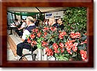 IMG_3706.jpg