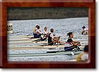 IMG_7447.jpg