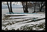 IMG_1845.jpg