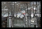 IMG_1851.jpg