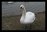 IMG_3132.jpg